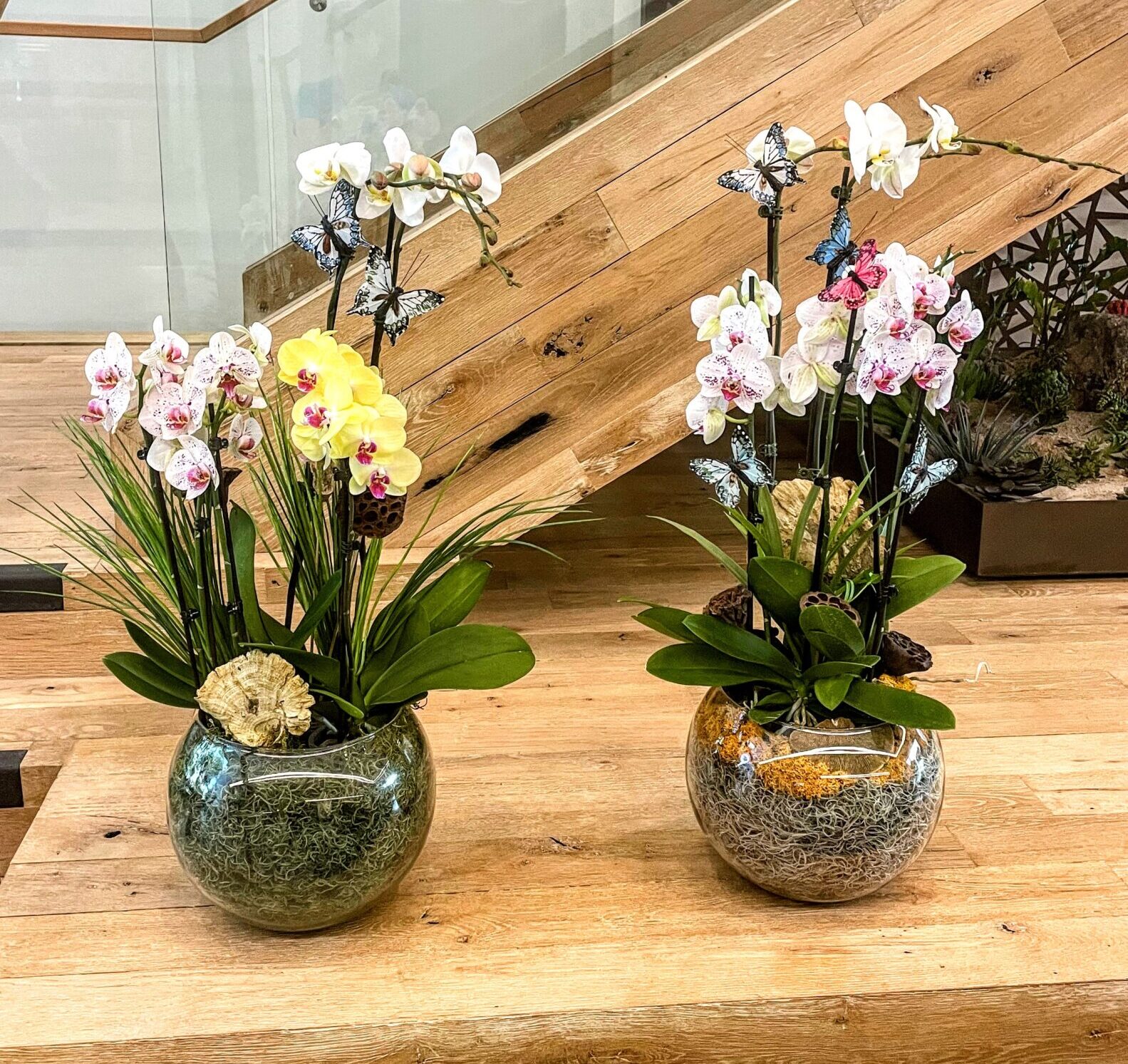 indoor plants