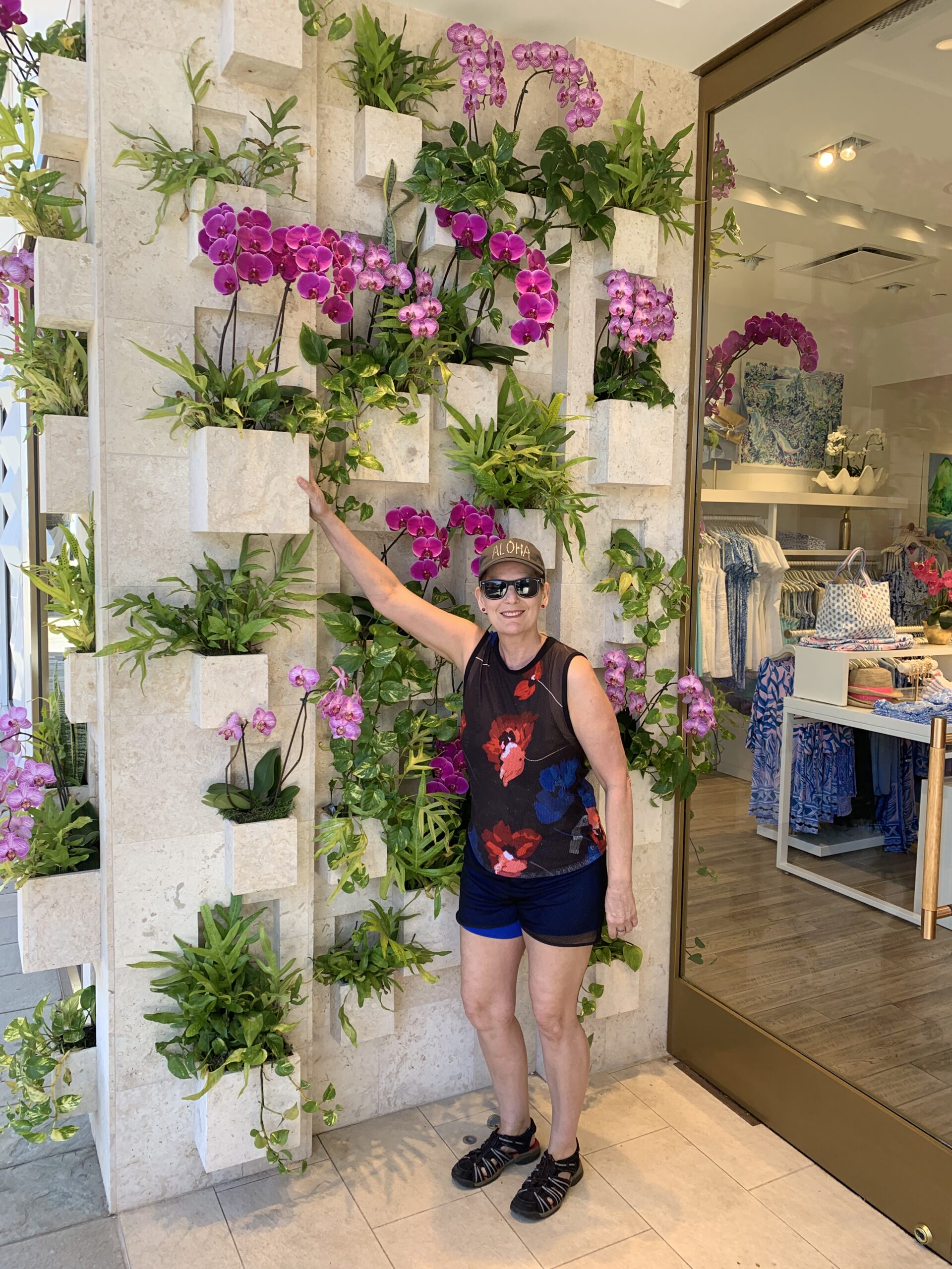 plant wall